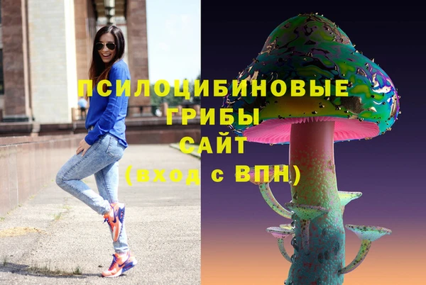 эйфоретик Вяземский