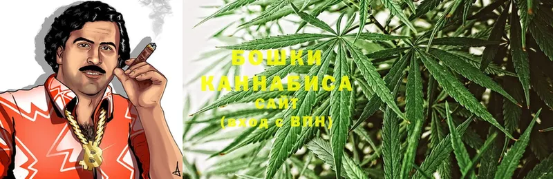 Бошки марихуана Ganja  Туринск 